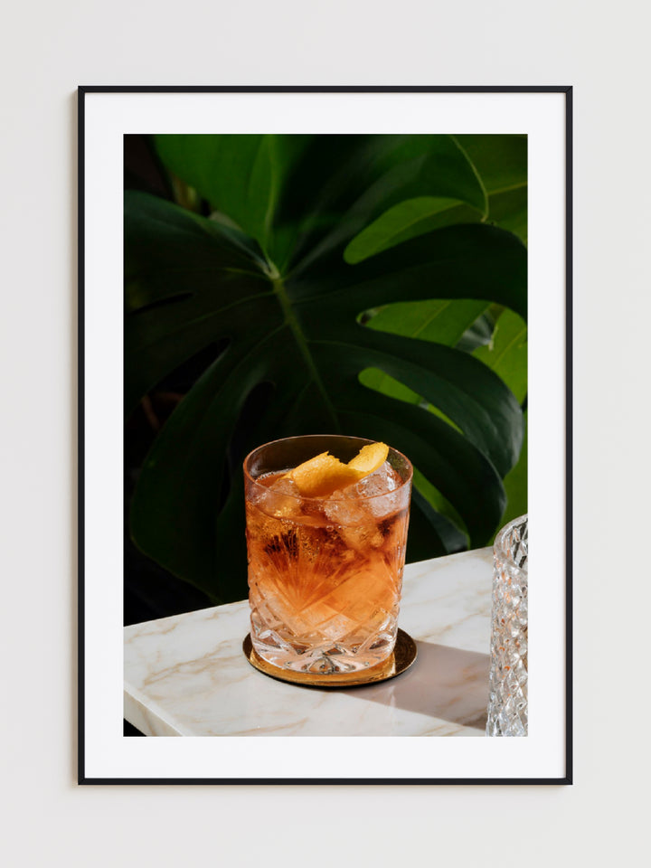 Negroni Cocktail