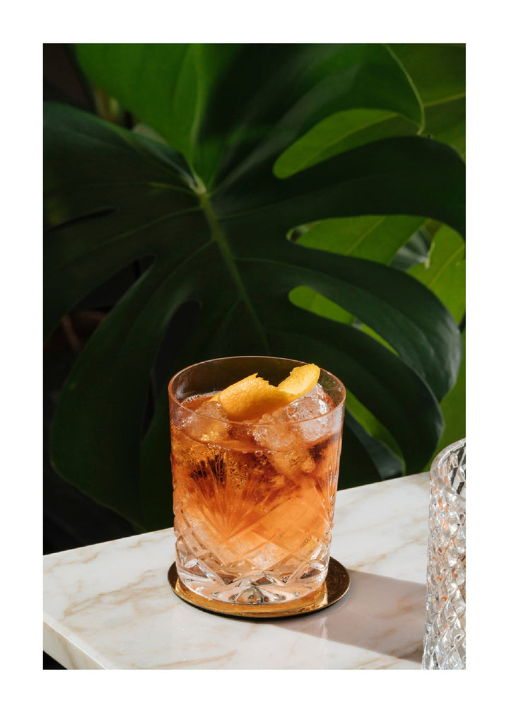Negroni Cocktail